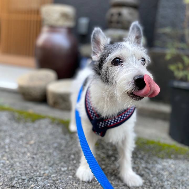 00b7d2a5 7867 4691 9202 13269ff5c307 1599609513036