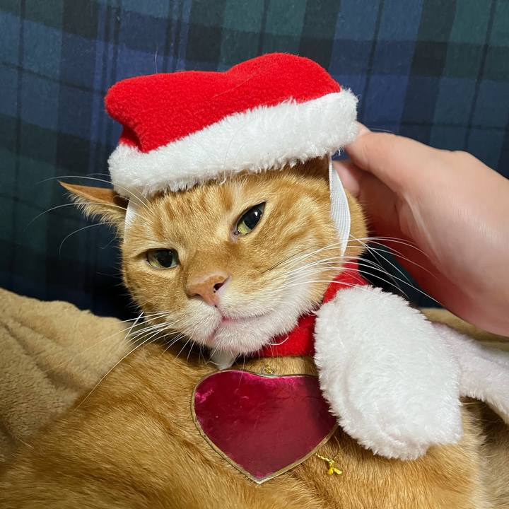 00b7d862 6f52 4f93 837c c92a997ae905 1766579889930