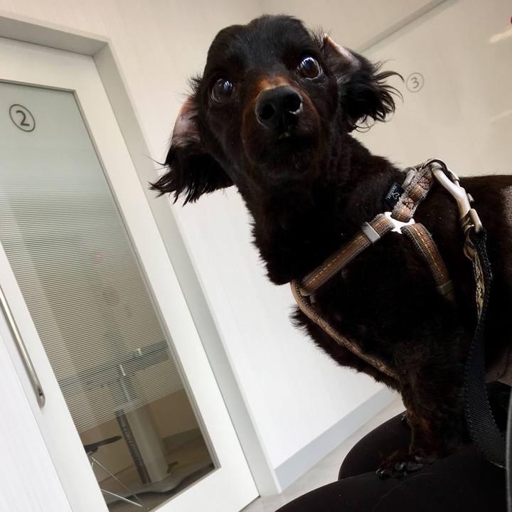 00b7f8b7 8b3f 49b8 adc5 9b06aa463270 1557372304384