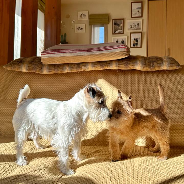 00b7f8dc e015 45d8 9288 8c605f5b7fda 1705499542494