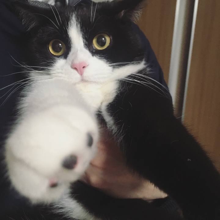 00b7ffe5 6d82 44cd 91d4 06388dc11f64 1549705863191