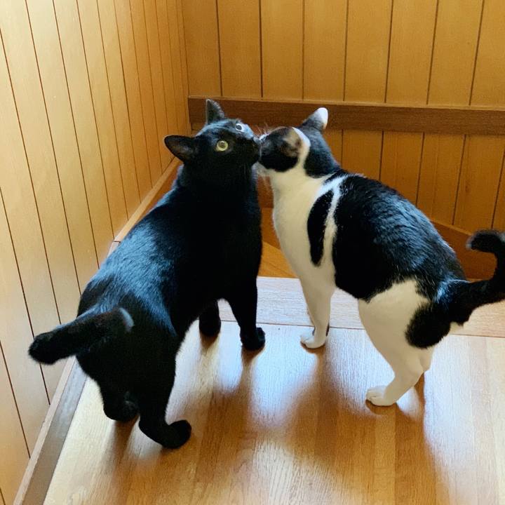 00b81e49 5fc8 4c41 b4b8 84f2a5cb8b3d 1540782018966