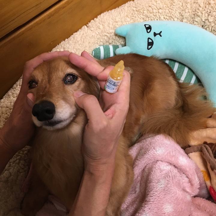 00b83f1d 4b40 46bb a2ee a704b49312f6 1609078543683