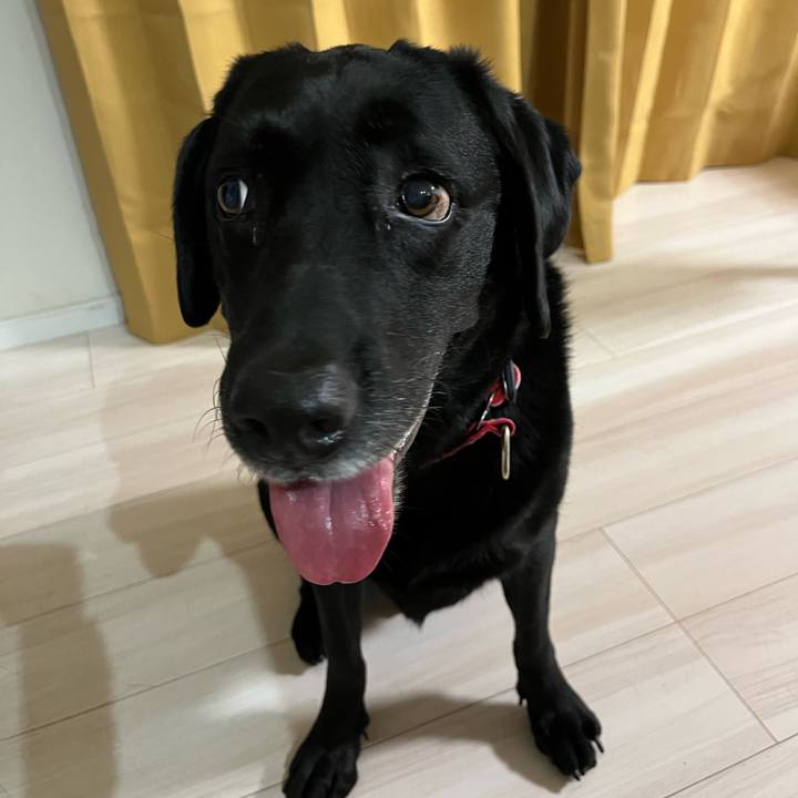 00b85d68 34f3 42f4 b7ba fa913daa09af 1693884148350