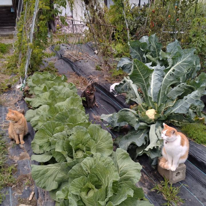 00b8a5f6 b9db 4b76 87a8 cf6dcb766772 1760951680289