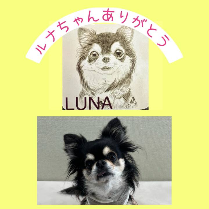 00b8ade0 54ca 4a27 b685 c80d5fb28f89 1704846788358