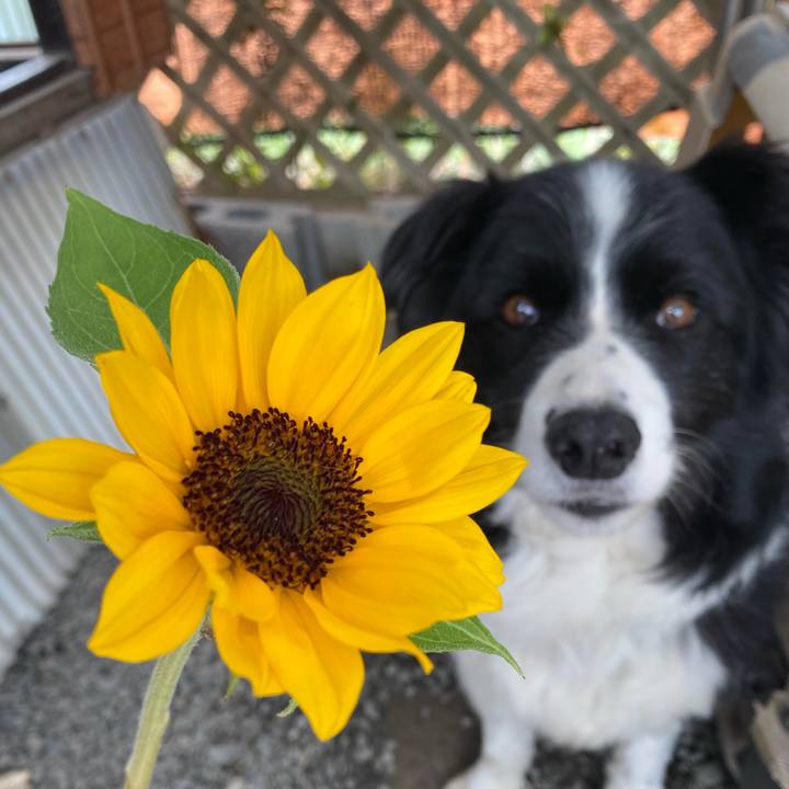 00b8ea2f a3c7 46bf 8dff 4045d275457a 1621989152791