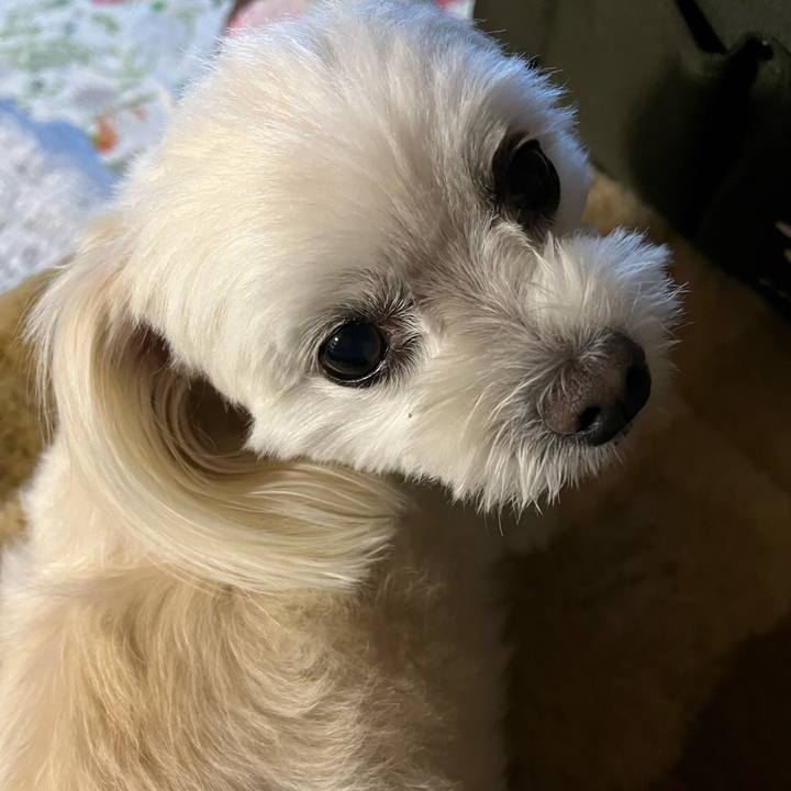 00b8feb7 bf8c 4076 b416 2697c8b00261 1698577134669