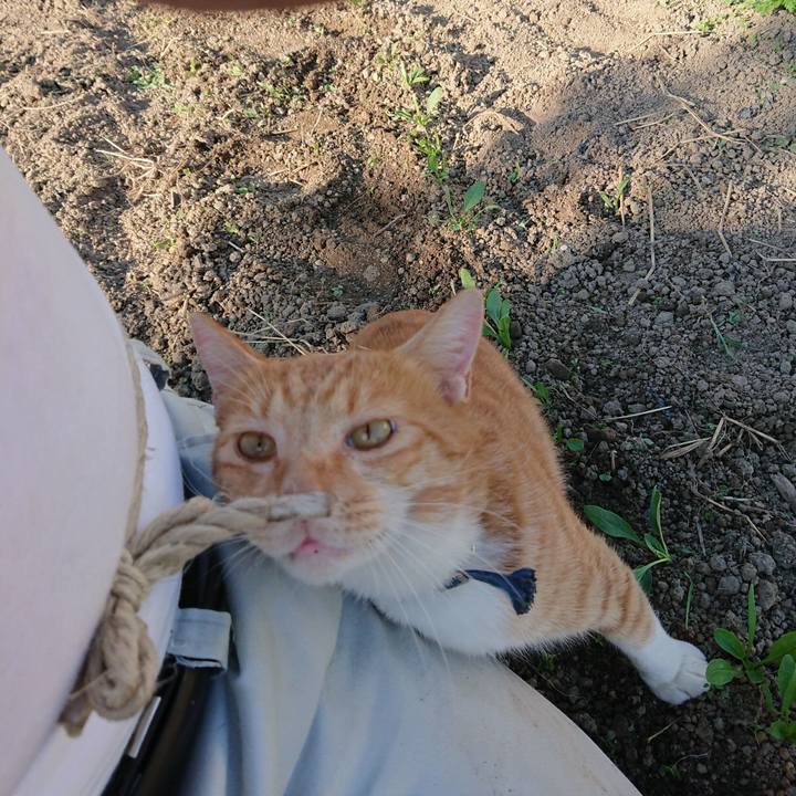 00b90189 caed 49fe aa8c 1dfa72e47354 1568536356604