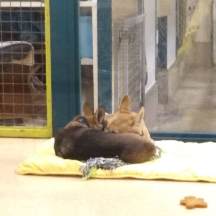 00b931d9 7076 40fb b233 16f9f595aa36 1546592953110