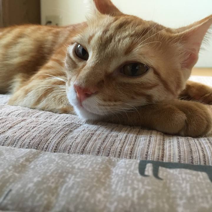 00b979e5 acda 40a4 aabb 9a284ff7bd85 1512104782349