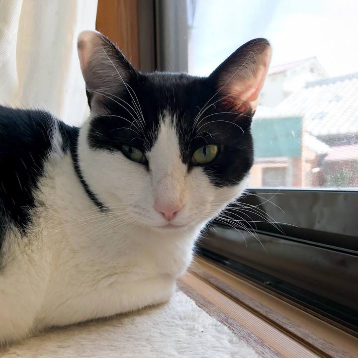 00b99df0 59d5 4e6a ae02 72840c2b737a 1522374350899