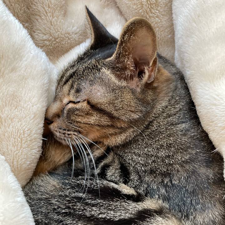 00b9a77d 9470 4de1 bd93 9afde8333ad6 1610157341680