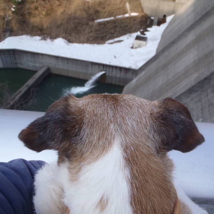 00b9bf6f 6a81 4c08 adb0 d5dce0d5a465 1521084873687