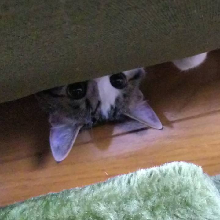 00b9fc48 4123 4528 a9a5 526a7bf781d1 1619268075323