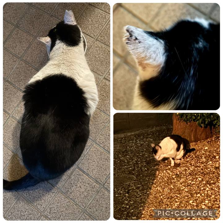 00ba2ccf cdf1 4fae b9e7 d2bdd668945f 1767623225099