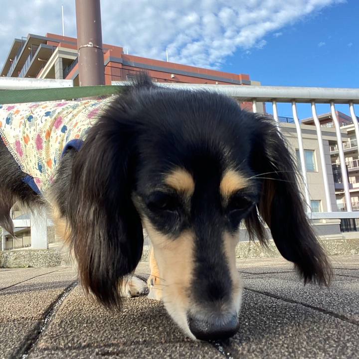 00ba6cdc edea 48d9 afdb 3c14409136e3 1724373100428