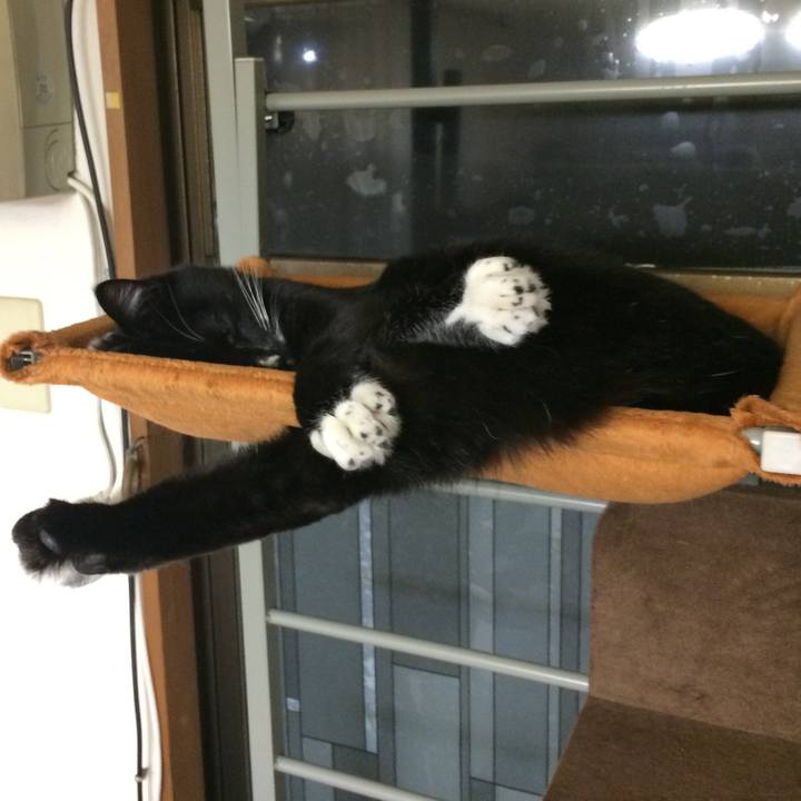 00ba834d 68f7 42f6 acae 54b4d7439e63 1516938516431