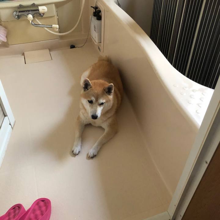 00ba8434 f164 4800 ac55 fb3e704c71bb 1595303732659