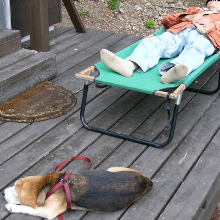 00baedc3 774c 435e b810 500bb533eaf8 1642813680285