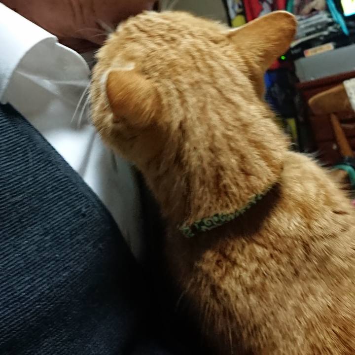 00bb0462 8d3f 4c75 abd9 69ac2401b1b7 1581671170225