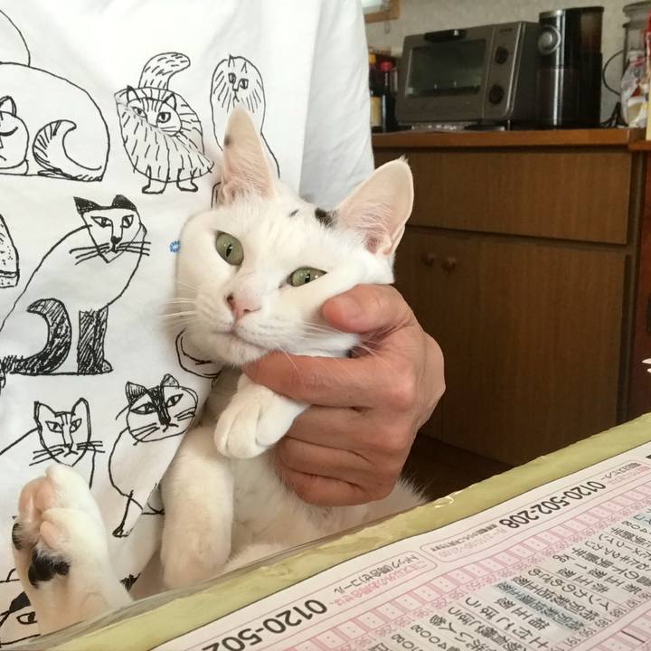 00bb1aff 61ce 4e3e a352 2b0bc8c065cd 1523830120112