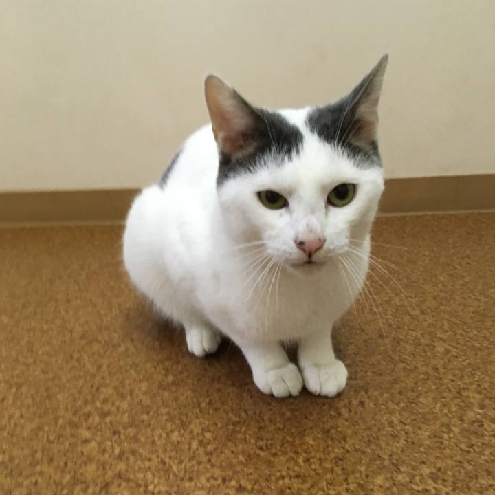 00bb97ba 5fa9 4599 acdb d392f0410ce7 1540889233710