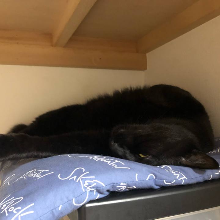 00bbb483 6338 4e6e 9e7c b0ff5dad9477 1562501854898