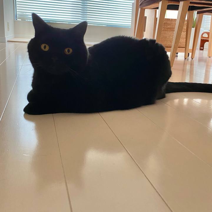 00bbf78e 0714 4e6a 916d 7af71cf1c9f8 1715761842970