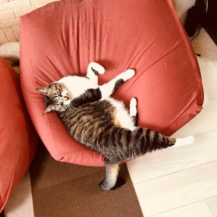 00bbfbc5 b103 4ca7 af86 ff5b2fe33e3c 1522992322145