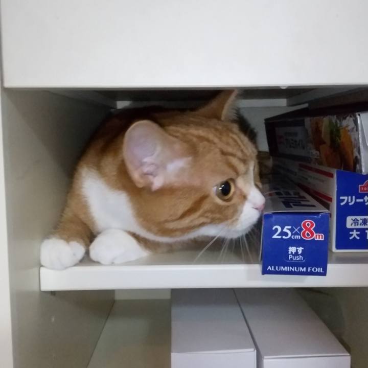 00bc006e eef7 446b 881a 3caa0d21c9ea 1636432898407