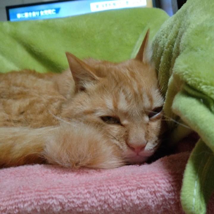 00bc122e a520 4696 ba9d 42ab6046e34c 1668334594478