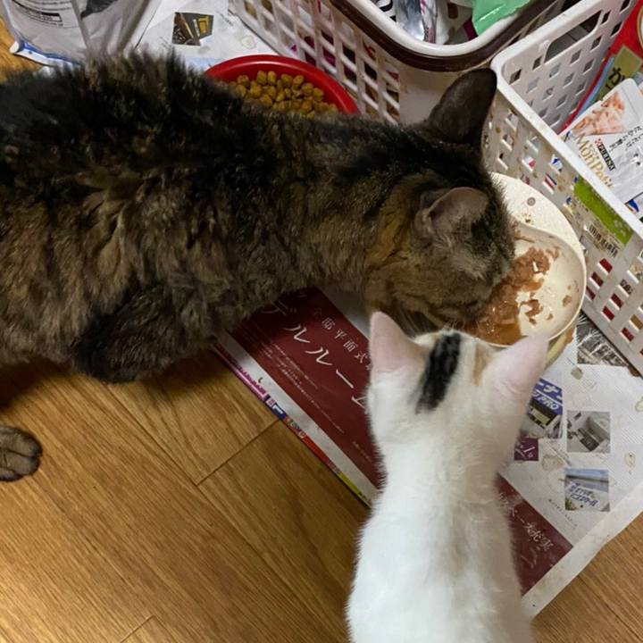 00bc22f8 0af9 4db6 810d 8fb03a45c777 1645453122347