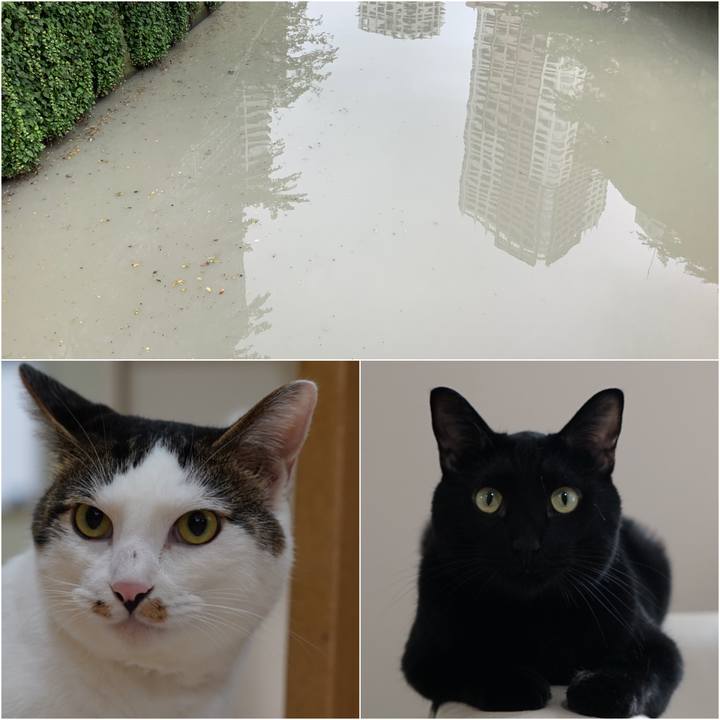 00bc2849 d638 41c4 8492 8b944da7393b 1566291448730