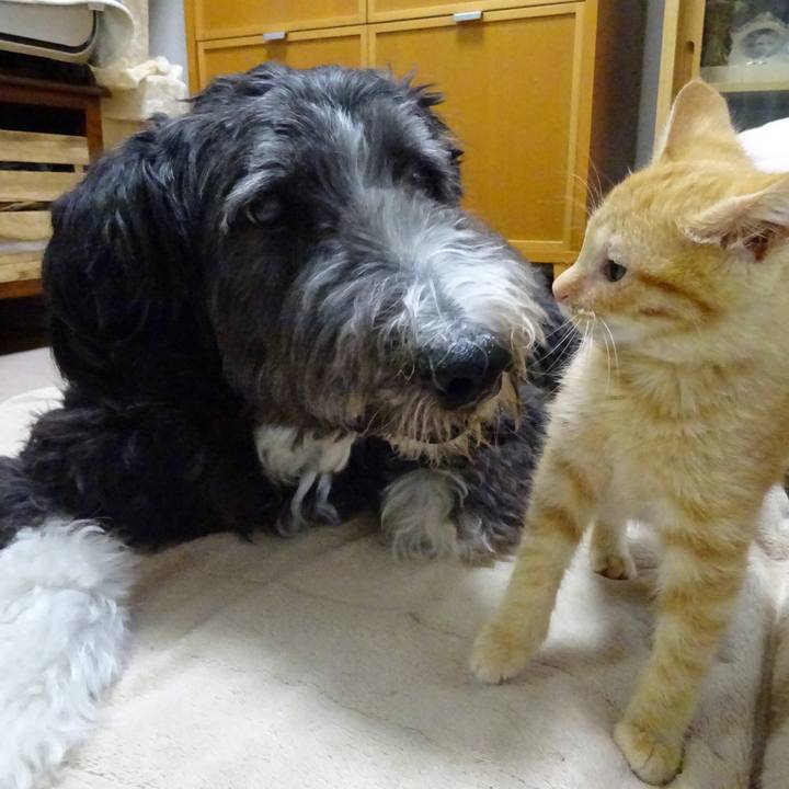 00bc6f32 6301 4e1b 862b 8f80429bab8d 1512350832836