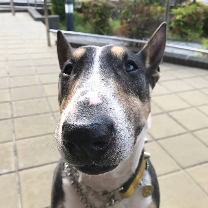 00bc823d 1e30 4011 a16a 6fe156489d64 1524908709666