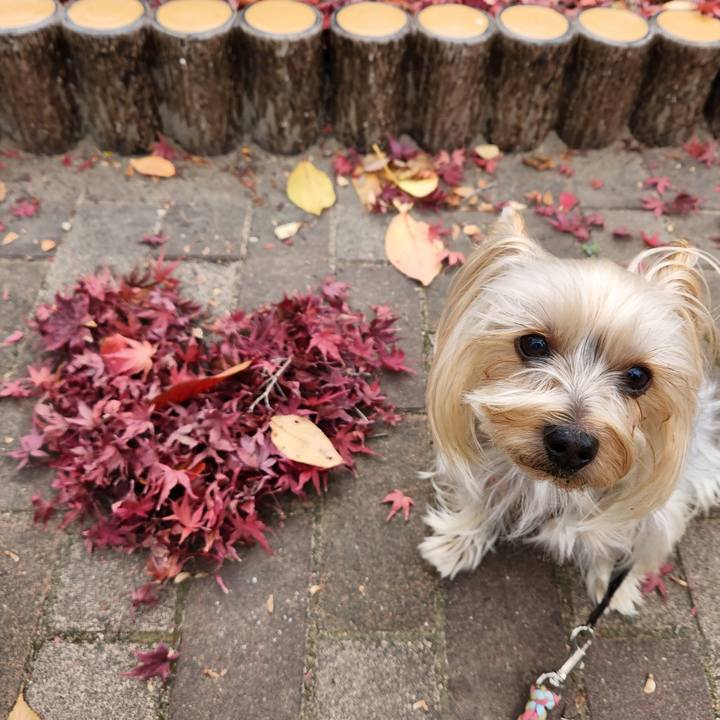 00bc8646 0f46 4fa0 91d5 def22e0904c1 1701748728175