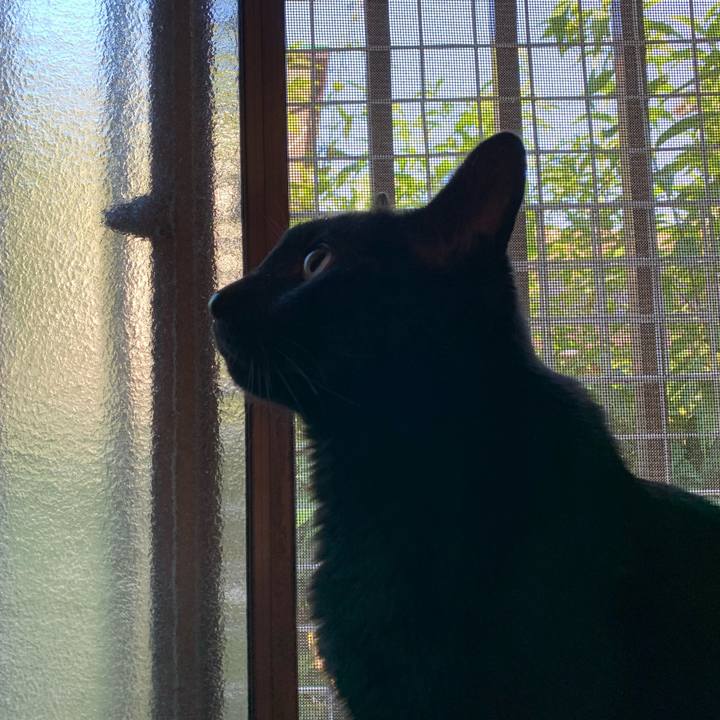 00bc8be0 bab1 4759 9e76 107a5ea9ed3f 1601514671803