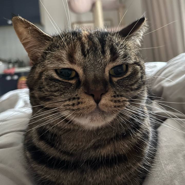 00bc9a09 64d8 424c 98ae 54c28e282a0c 1665309583077