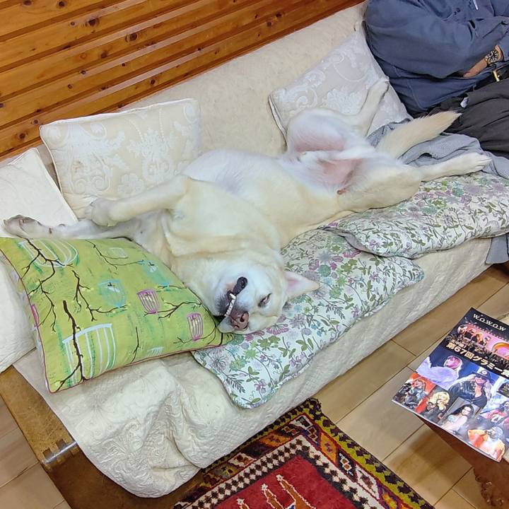 00bcc51b 9ced 4514 b63d 0b2ca35d921d 1737637992771