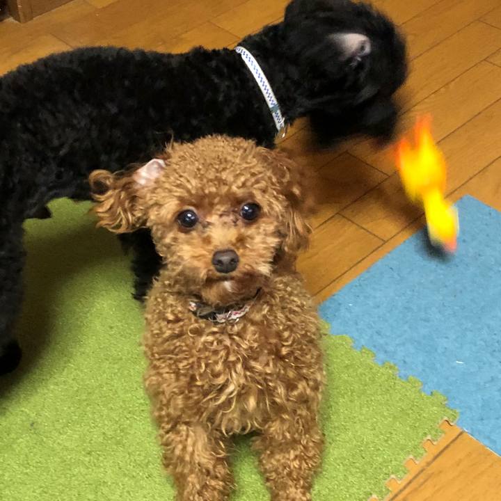 00bcc570 27fb 4a75 990a 73ac92c07614 1516274856068