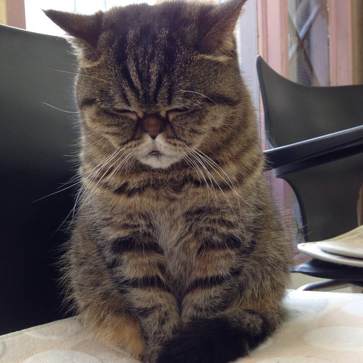 00bcc96f 896f 4206 a3b8 f71b244ae514 1519864599565