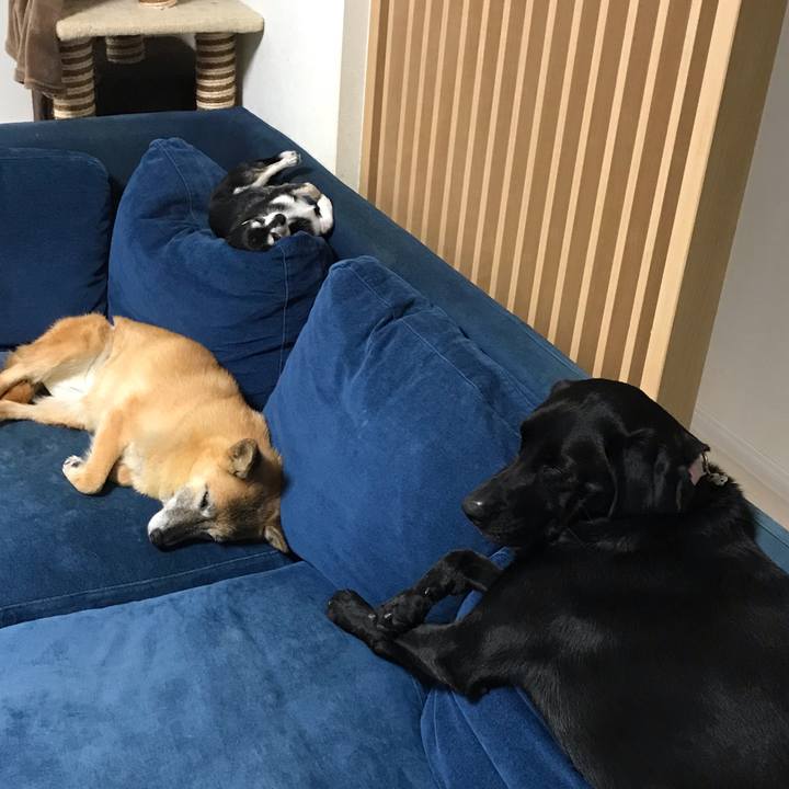 00bcdb72 035f 4ea0 9748 ed33669ea3de 1570964396151