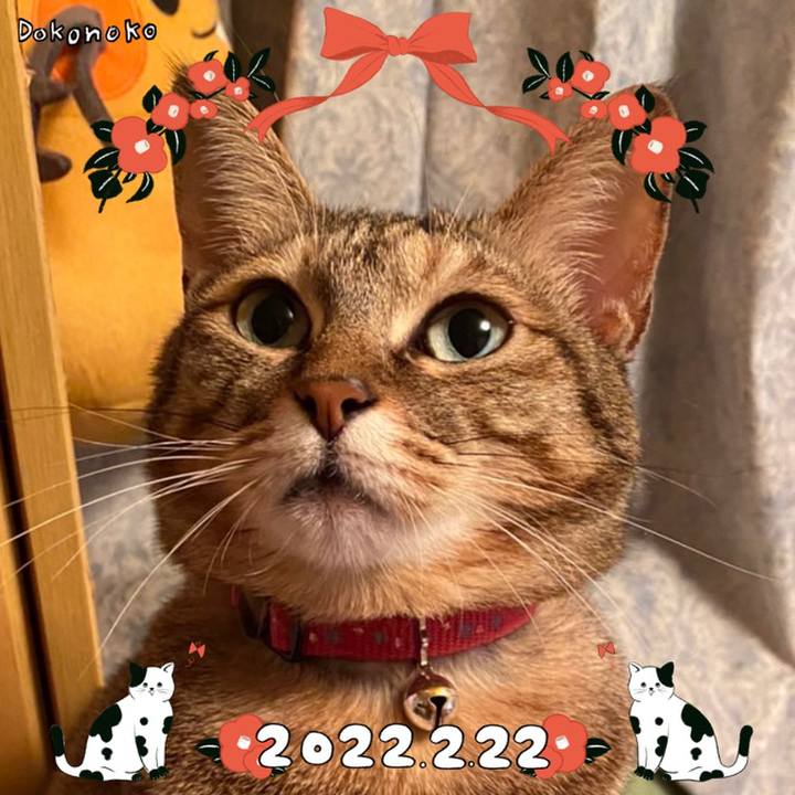 00bcec0e ae4e 4e45 994a de32ab40be5c 1645528849303