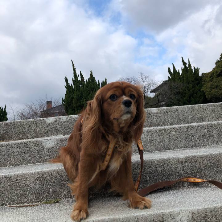 00bcf079 b6b3 455d 8f28 492b049fe620 1614040840643