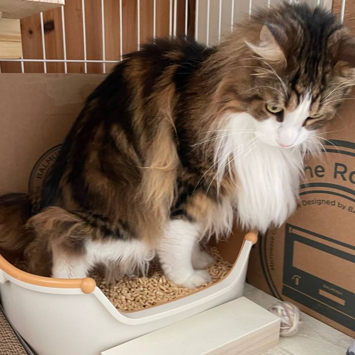 00bd104a 44a1 4abb 902c c175574dc339 1685152563666