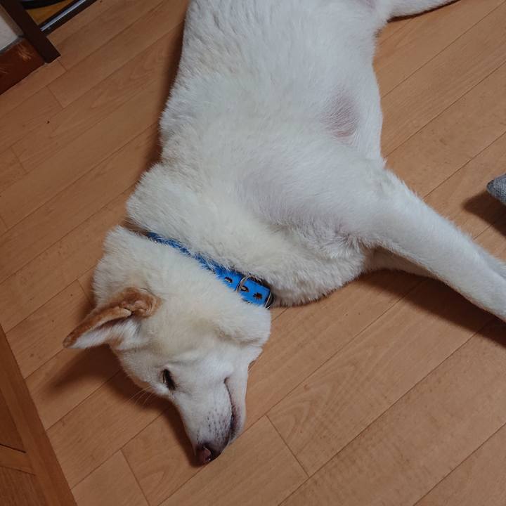 00bd15ae 8001 4ef5 9cb6 2a73682e7ce7 1597500465440