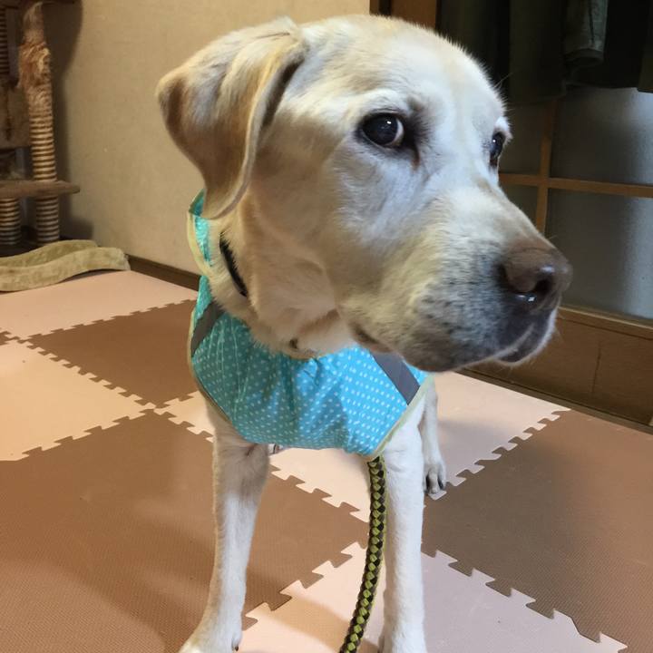 00bd19fb 3929 4dad 8c8d 10106a4d03ae 1544093020641