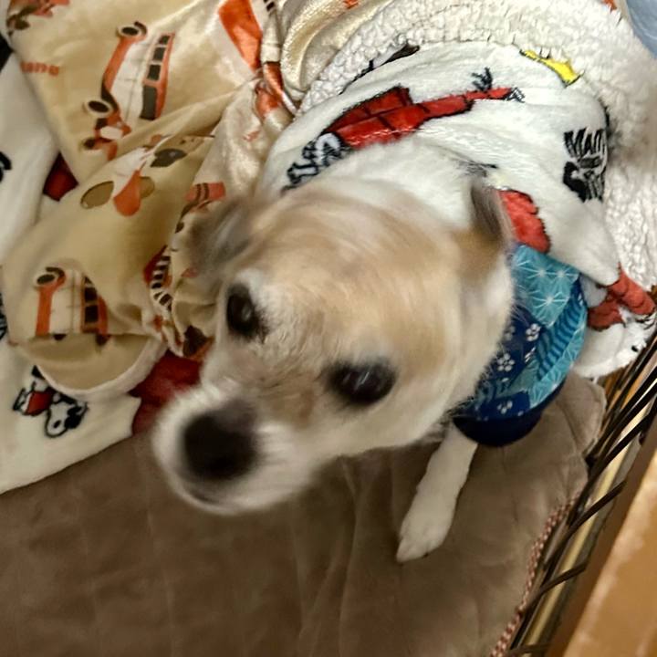 00bd3ca9 0289 49b2 b067 b7fe3e0bc64b 1679710804574