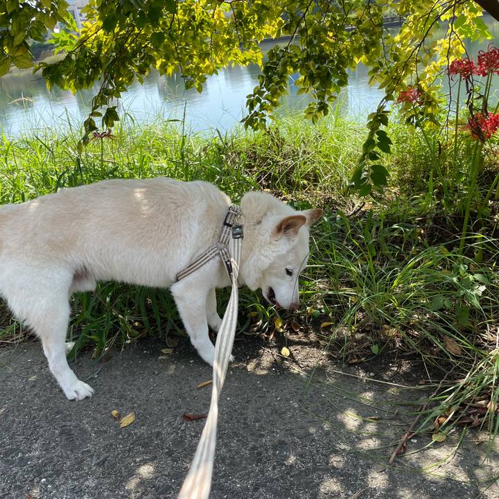 00bd5ee9 3664 4148 bb5c dd65d7d8a3d0 1633874573444